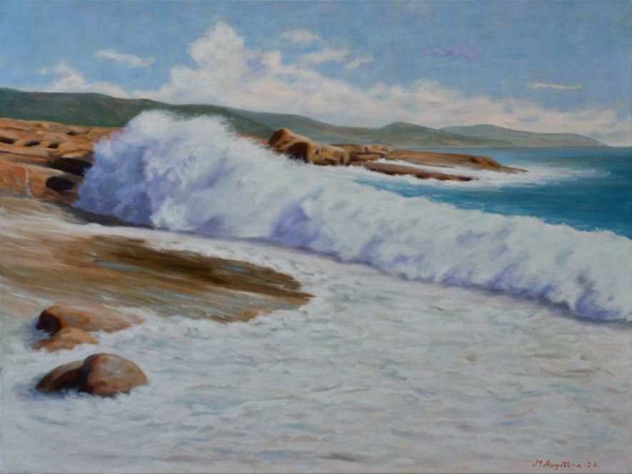 Bicheno broken moment 61x81cm $2700